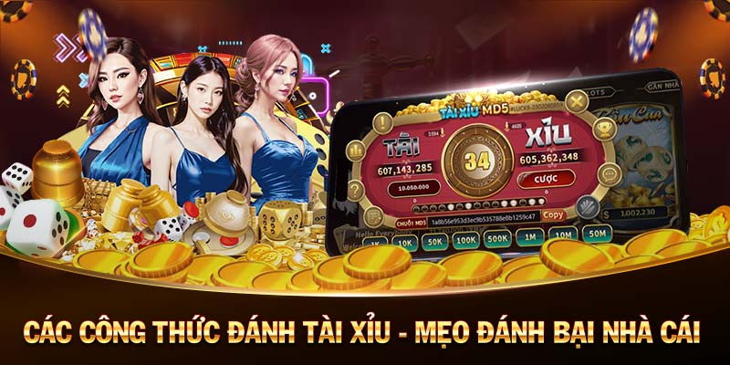 Siêu hũ 52: Siêu phẩm giải trí đỉnh cao Siêu hũ 52: Siêu phẩm giải trí đỉnh cao