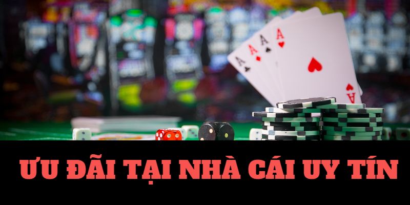 Cá Cược Bóng Đá Hôm Nay Từ Nhà Cái Uy Tín
